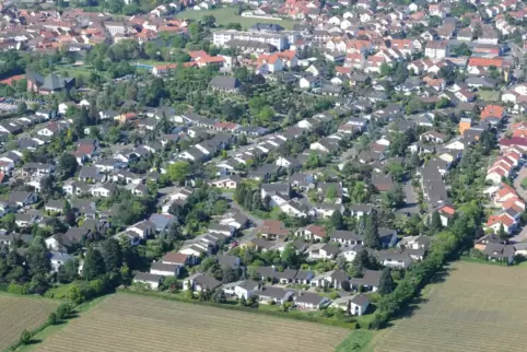 wachenheim4