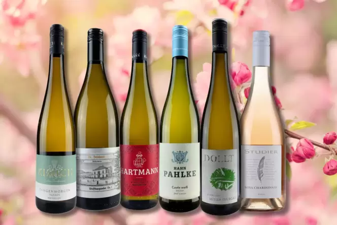 Sechs ausgewählte flüssige Frühlingsboten zum Sonderpreis: LEO-Weinpaket. Sechs ausgewählte flüssige Frühlingsboten zum Sonderpreis: LEO-Weinpaket.