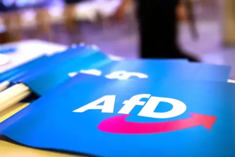 2013 wurde die AfD als Partei von Euro-Kritikern gegründet. Danach rückte sie immer weiter nach rechts. Inzwischen ist die Parte