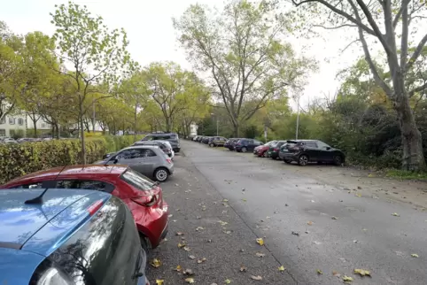 Um diese Parkflächen am Mittasch-Park geht es.