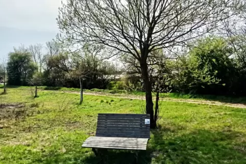 „Unbekanntes Land“ – eine der insgesamt acht „Himmelwärts“-Bänke, die in und um das vorderpfälzische Schauernheim aufgestellt si