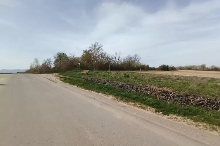 Die Bank &bdquo;Kraftquelle&ldquo; liegt am Rand des Naturschutzgebiets und eines Streuobststreifens, am Ende einer schmalen Totholzhecke. 