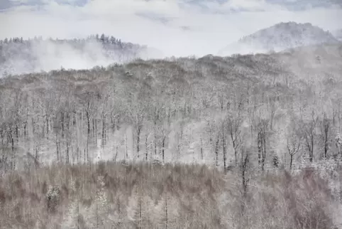Blick vom Luitpoldturm auf den überzuckerten Pfälzerwald: So schön es in der Einsamkeit ist, nicht nur im Winter kann schnell ma