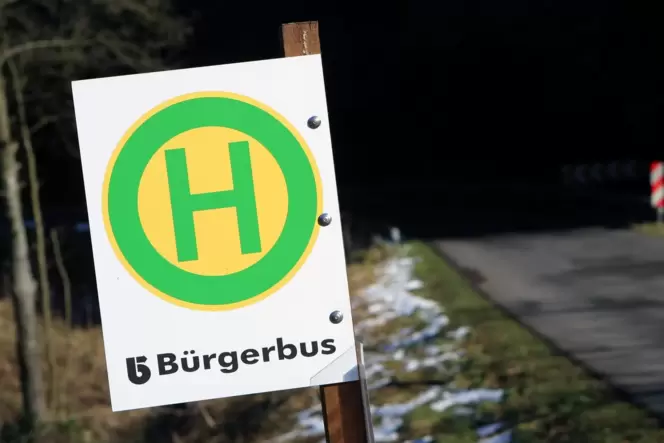 Das Projekt Bürgerbus in Waldfischbach-Burgalben wird sich noch hinziehen.