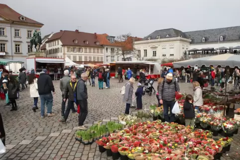 Zeitweise kommen über 40 Beschicker zum Wochenmarkt dienstags und samstags auf dem Rathausplatz. 