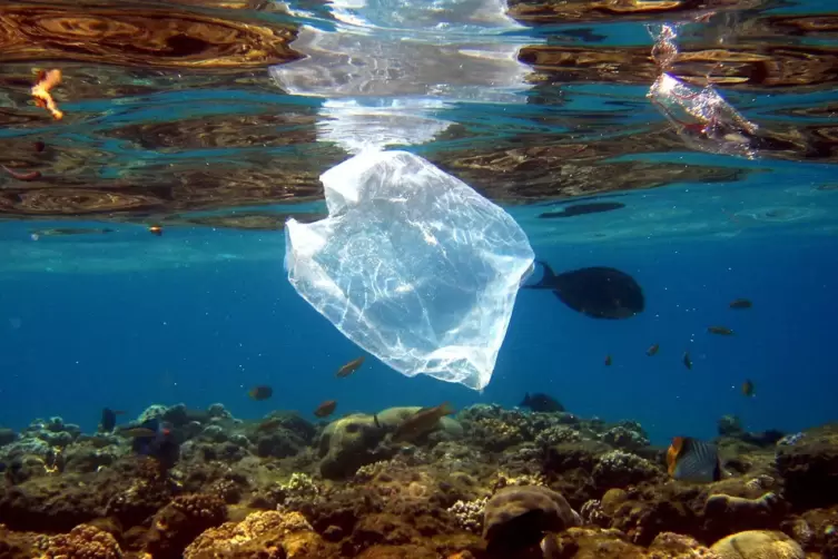 Plastiktüte im Meer