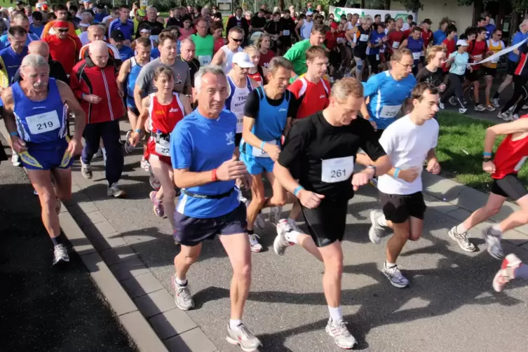 Zum Marathon Deutsche Weinstraße werden am Sonntag rund 3500 Teilnehmer erwartet. 