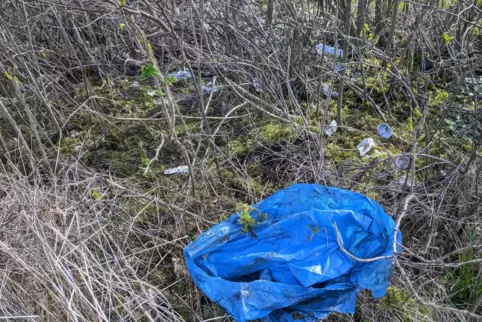 Plastiktüten und -verpackungen, Glasflaschen, Kippen und Elektroschrott: Kaum ein Grünstreifen in Neustadt ist frei von Müll, tr