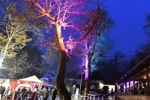 Aus Naturschutzgründen wollen die Organisatoren beim diesjährigen Waldspektakulum nur an Bäumen auf dem Festplatz optische Akzen