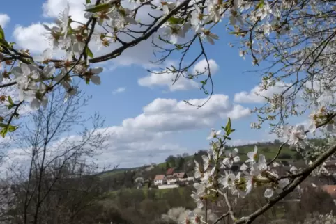 Blick auf Quirnbach im Frühling. 