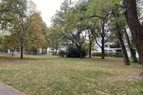 Im Bürgerpark Wörth sollen Bänke aufgestellt werden.