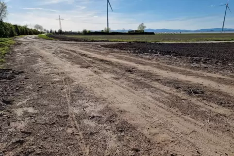 Mit Ackerboden verschmutzt: ein Weg auf Römerberger Gemarkung an der B9, der von Landwirten und Radfahrern genutzt werden darf. 