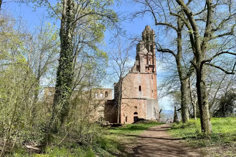 Klosterruine Limburg: Im Stil der Romanik errichtet, bekam die Abteikirche später gotische Zutaten wie den Südwestturm. 