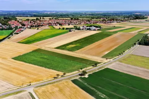 Als Acker genutzt: Wenn es nach der Ortsgemeinde Otterstadt geht, soll nahe der Landesstraße 534 nie nach Erdöl gebohrt werden. 