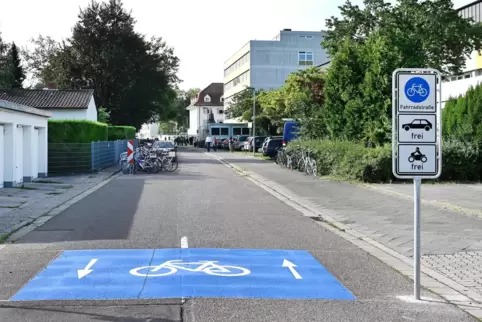 Fahrradstraße: Im Bereich der Vincentiusstraße am Schwerd-Gymnasium (rechts) wäre ein „Durchstich“ zur Dudenhofer Straße nötig. 