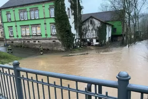 Hochwasser Glan Januar 