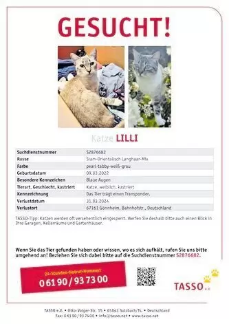Wir vermissen in 67161 Gönnheim seit Ostersonntag, den 31.03.2024 schmerzlich unsere hübsche Katze Lilli. Sie hat mit den Kinder