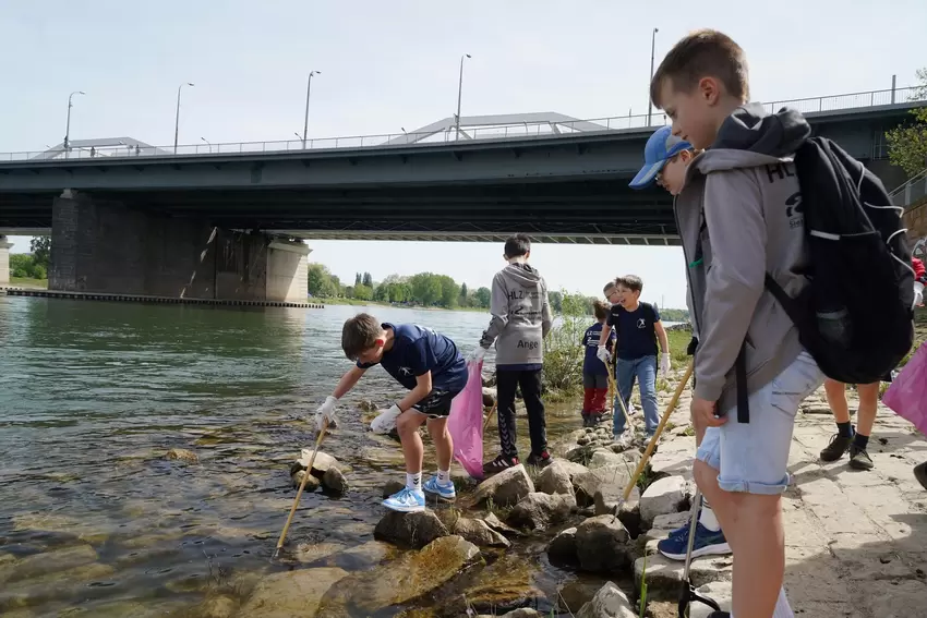 Volle Konzentration beim Müllsammeln am Rheinufer.