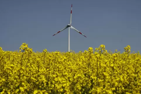 20110422windradrapsfeld4