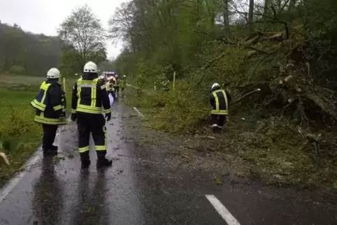 Zwischen Oberauerbach und Battweiler ist dieser Baum umgestürzt.