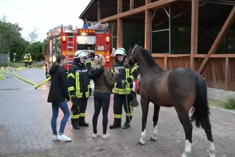 Einsatz auf dem Ludwigshof: Ganz geheuer ist den Pferden die Übung an einem stürmischen Tag nicht.