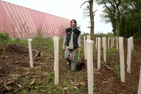 Revierleiter Philipp Richter wirft einen Blick auf die neu gepflanzten Bäume und Sträucher hinter dem Hornbach Logistikzentrum.
