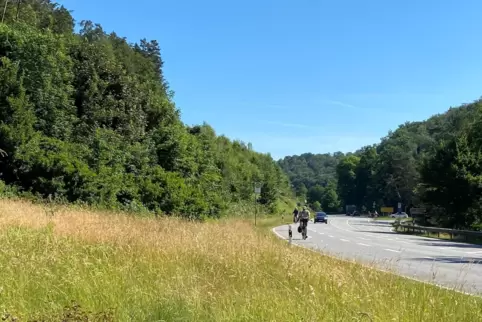 Für ein kurzes Stück führt die Radtour über die B270, die meiste Zeit führt sie aber auf Wald- und Forstwegen entlang.