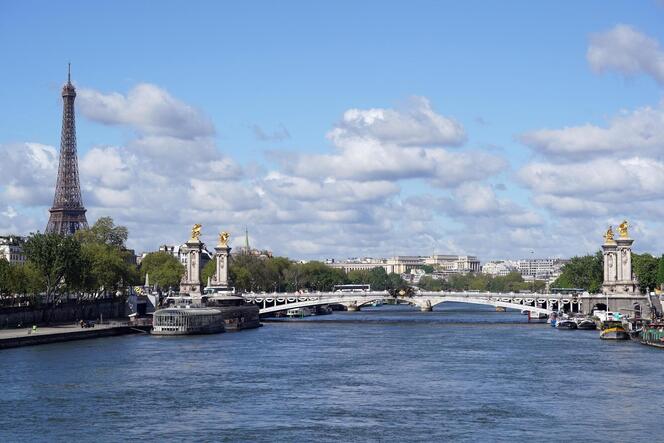Die Brücke Pont Alexandre III, die die Seine in Paris überspannt.