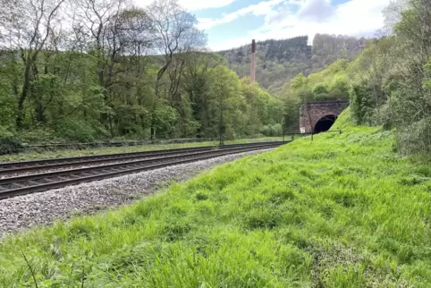 Am Rande des Schöntals trennen nur wenige Meter Grün den Weg von Bahngleisen. Mehrere Menschen beendeten dort ihr Leben, und auc