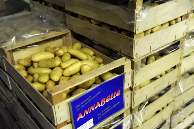 Die Annabelle ist sehr beliebt. Sie ist eine von vielen Kartoffelsorten. 