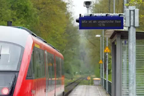 Bäume säumen die Bahnstrecke bei Stambach. Zu gefährlich, meint nicht nur der Förster. 
