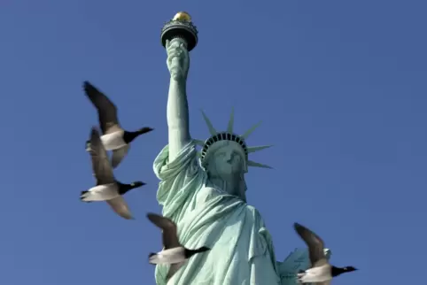 Viele fliegen auf die USA, die kaum von etwas so symbolisiert werden wie von der Freiheitsstatue in New York.