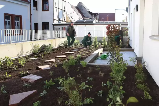 Die Landauer Gärtnerei Liebertseder hat die vier Flachdächer frisch bepflanzt.