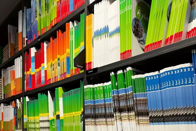 Jährlich gehen rund 6750 Schulbuchpakete mit 46.100 Büchern in den Verleih.