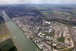 Die Wasserqualität des Rheins wurde durch Kläranlagen und Umweltauflagen wesentlich verbessert. Um die Jahrhundertwende hatten I
