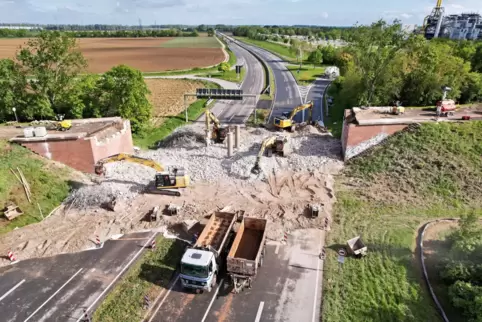 Zu heftig für Facebook: die Bilder vom Abriss der Spitzenbusch-Brücke bei Frankenthal-Mörsch. 