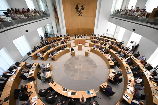 Fraktionsmitarbeiter kommen mit einem Ausweis in den Plenarsaal in Mainz. Diesen soll es künftig nicht mehr automatisch geben.