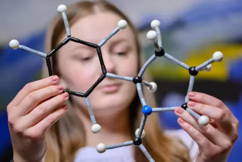 Wer sich für eine Karriere bei der BASF interessiert, kann sich mit Vertretern und Auszubildenden des Chemiekonzerns austauschen