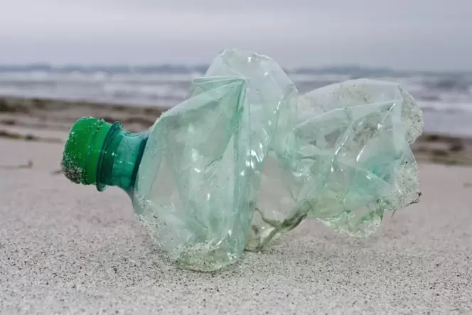 An so ziemlich jedem Strand der Welt zu finden: Plastikflaschen.