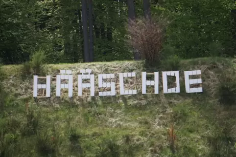 Hollywood in Hääschde. 
