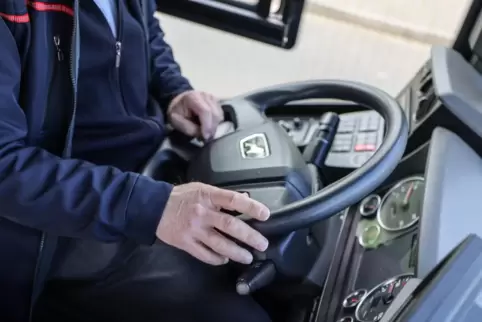 Ein Busfahrer wurde in der Nähe der Haltestelle Viehtriftstraße in Speyer Opfer einer Gewalttat. 
