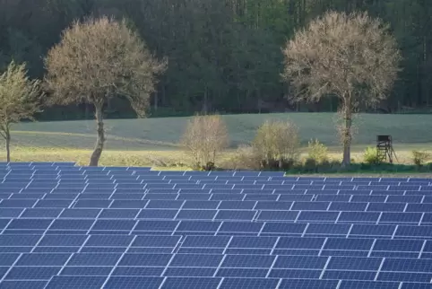 Solarparks in Waldnähe – das soll bald das Bild des Trifelslands prägen. 