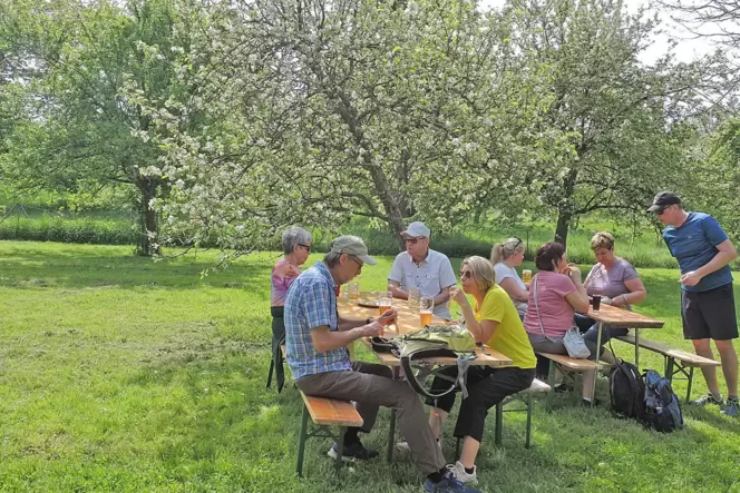 Beim Maifest des Obstbauvereins saßen die Besucher unter blühenden Apfelbäumen.