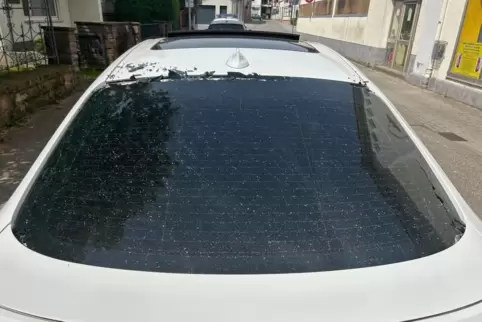 Die Heckscheibe des Autos wurde von Unbekannten eingeschlagen.