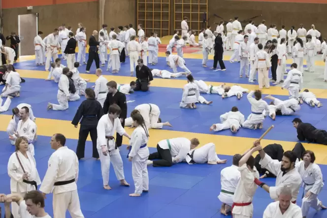 Die besten deutschen Jiu-Jitsu-Kampfsportler bevölkern am Wochenende die Schulsporthalle in Otterbach.