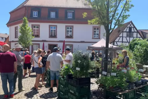 Der Kräuter- und Ölmarkt in Kandel. 