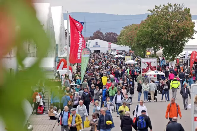 Bis 1. Mai kamen 122.000 Besucher auf den Maimarkt am Mannheimer Mühlfeld.