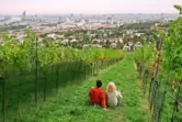 Eingemeindung sei Dank: Rund um Wien wird auf geschätzt 600 Hektar Wein angebaut.