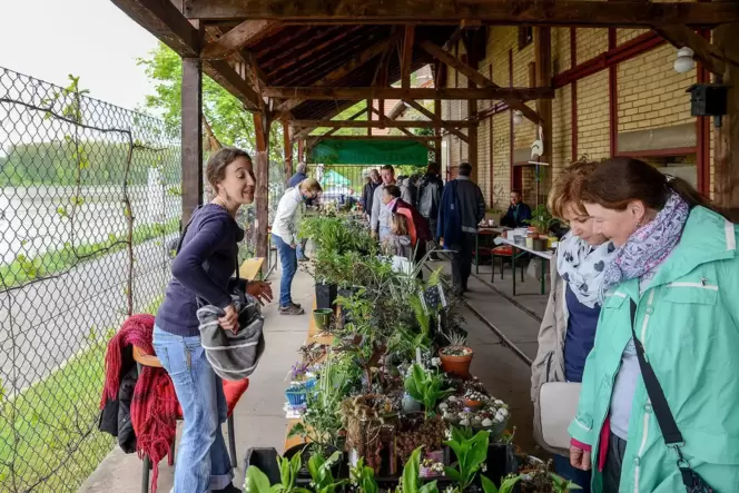 Im Jahr 2015 gab es den ersten Gartenflohmarkt in Sondernheim.