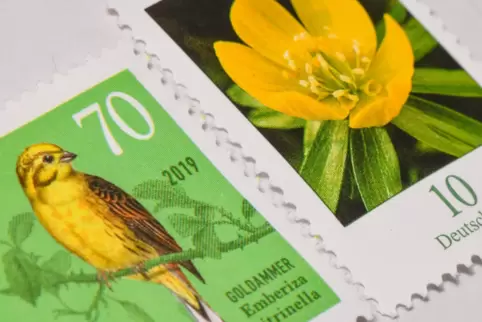 Die Briefmarkenfreunde haben einen neuen Vorstand gewählt. 